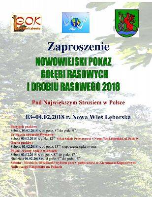 Grafika 2: NOWOWIEJSKI POKAZ GOŁĘBI RASOWYCH I DROBIU RASOWEGO 2018